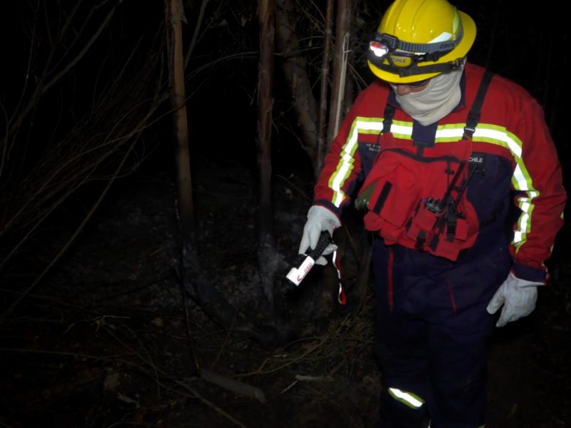 Empresa Arauco y sus brigadas nocturnas: Protección innovadora contra incendios subterráneos