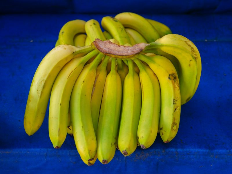 La bananera Chiquita Brands: entre pagos forzados y procesos judiciales internacionales