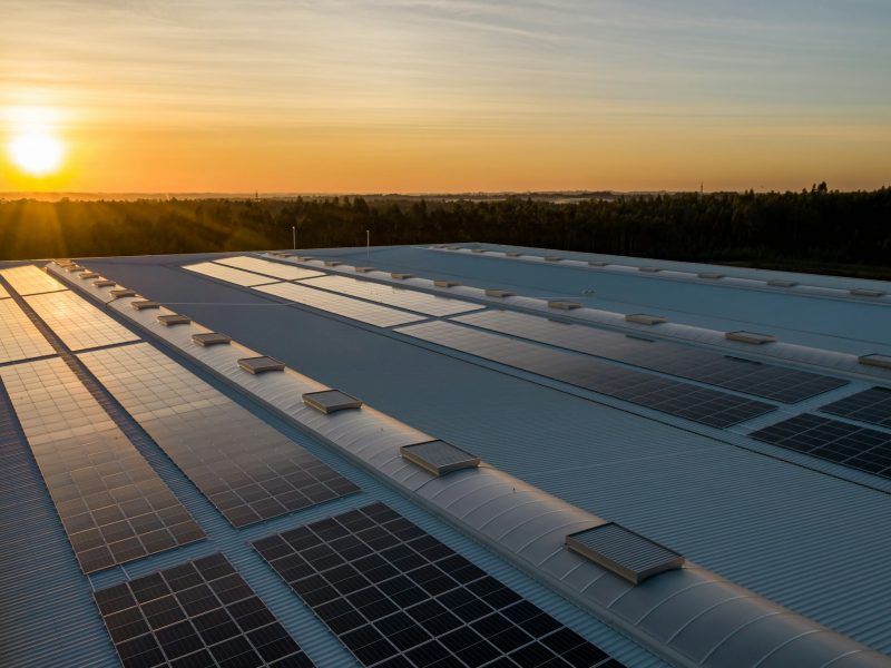 Antonio Suárez Gutiérrez y Grupomar: energía solar para transformar la industria alimentaria